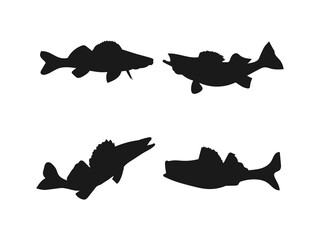 Walleye fish silhouette vector illustration icon set. Silhouettes of Walleye Fish in Various Poses. Vector isolated on a white background.