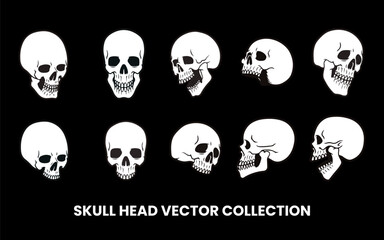 Skull Head Vector Illustration Set with Different Angle Black and White