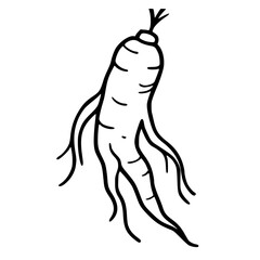 Handdrawn ginger icon