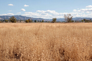vast dried field covered with soft velvet texture reflecting harsh effects of climate change