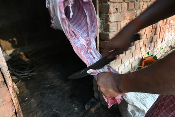 Chopping goat meat. Fresh raw or uncooked goats mutton cutting from Traditional iron tool in Indian village life. chopping goat meat into small pieces.