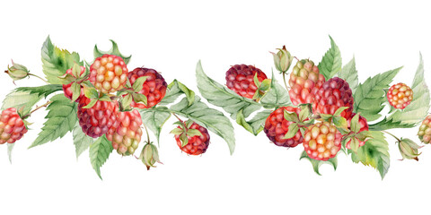 Raspberry berry buds leaves hanging bunch garland ripe garden dewberry cloudberry mulberry loganberry tayberry. Hand drawn in watercolor. Isolated seamless banner border. Menu, farmers market, florist