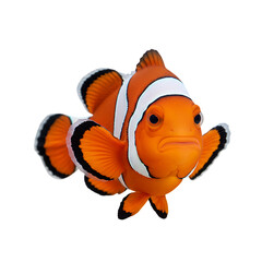 Fototapeta premium Vibrant Clownfish: An Underwater Jewel