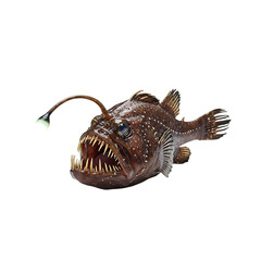 Fototapeta premium Anglerfish: Deep Sea Creature with Bioluminescent Lure