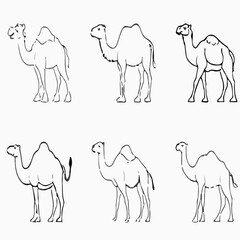 set of camels vector