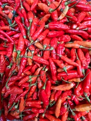 Pile of fresh red cayenne pepper or bird's eye chili or small chili peppers, widely used in a variety of dishes and sambals.  