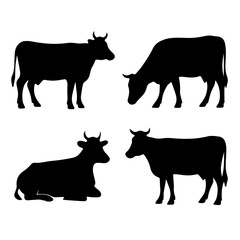 Set of 4 Cow Silhouettes PNGs – Farm Animal Vector Collection Isolated on a white Background