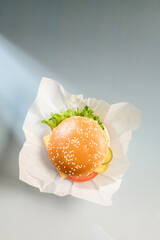 fresh tasty burger