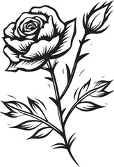 Detailed Black Rose Beautiful Floral Vector Logo for Branding Stylish Black Rose Flower Vector Emblem with Modern Lines