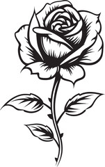 Beautiful Black Rose Vector Flower Emblem for Modern Logos Floral Black Rose Vector Beautiful Flower Icon Logo Design