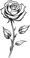 Beautiful Black Rose Flower Vector Art Emblem with Petal Details Detailed Black Rose Logo with Graceful Floral Vector