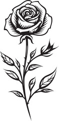 Stylized Rose Bloom Black Vector Flower Logo with Grace Black Vector Rose Flower Beautiful Emblem for Elegant Branding