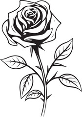 Black Rose Vector Logo Featuring Bold and Refined Petals Beautiful Rose Flower Vector Icon with Artistic Black Outline