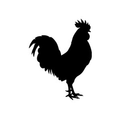 Rooster silhouette vector flat illustration design.