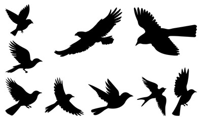 Flying Bird Silhouette Set in Various Poses Illustration