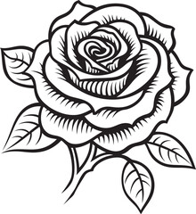 Classic black rose vector logo with elegant and fine line art Elegant rose line art vector icon with fluid and graceful lines