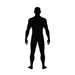 Silhouette of a Muscular Male Figure