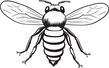 Elegant bee drawing featuring clean black vector outlines Modern black bee icon with refined line art details