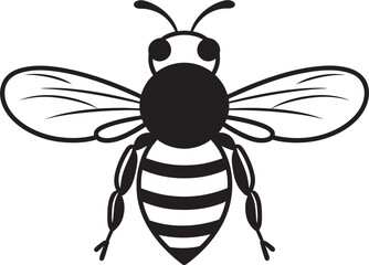Beautiful bee illustration in black vector line art with wings Contemporary bee design icon with flowing black vector lines