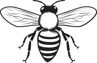 Classic bee design element with elegant black vector shapes Graceful bee illustration with minimalist black vector lines