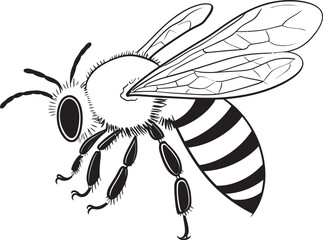 Artistic Bee Illustration with Clean Black Vector Linework Modern Bee Vector Logo with Refined Black Line Elements