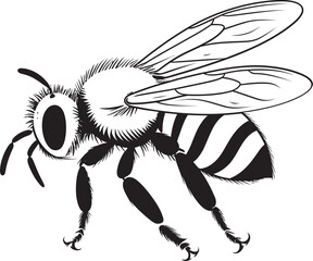 Elegant Bee Illustration with Flowing Black Vector Lines Artistic Bee Drawing Featuring Bold Black Vector Design