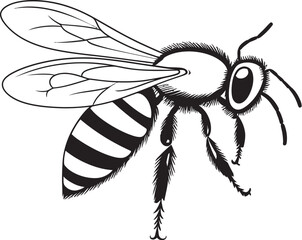 Beautiful Bee Drawing in Artistic Black Vector Style Detailed Bee Vector Illustration with Smooth Black Line Elements