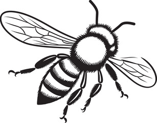 Elegant Bee Vector Art with Smooth Black Line Details Black Bee Vector Illustration in Minimalist Line Style