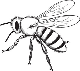 Graceful Bee Drawing with Refined Black Line Elements Stylish Bee Vector Icon Featuring Clean Black Aesthetics