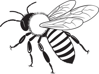 Elegant Bee Vector Illustration with Organic Black Lines Beautiful Bee Drawing in Modern Black Vector Line Art