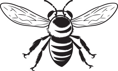 Modern Bee Illustration Featuring Smooth Black Linework Artistic Bee Drawing with Sophisticated Black Details