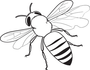 Artistic Bee Drawing with Sophisticated Black Details Stylish Bee Logo with Clean Black Vector Elements