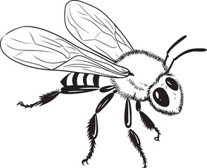 Bold Black Bee Vector Illustration with Modern Aesthetics Elegant Bee Vector Drawing with Flowing Line Art