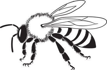 Stylish Bee Vector Icon with Refined Black Linework Artistic Bee Illustration Featuring Elegant Black Lines