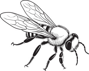 Beautiful Bee Drawing with Refined Black Line Art Stylish Bee Vector Icon Featuring Smooth Black Line Elements