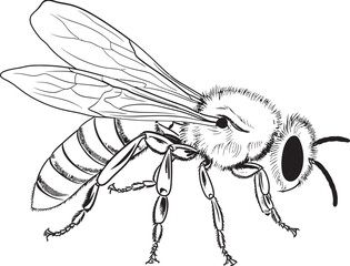 Modern Bee Drawing with Smooth Black Outlines Refined Bee Vector Logo with Elegant Black Detailing