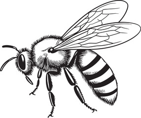 Stylish Black Bee Illustration Featuring Organic Vector Lines Modern Bee Drawing in Sophisticated Black Vector Style