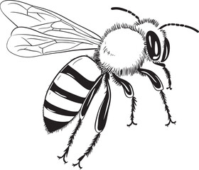 Modern Bee Drawing in Sophisticated Black Vector Style Detailed Black Bee Vector Illustration with Smooth Linework