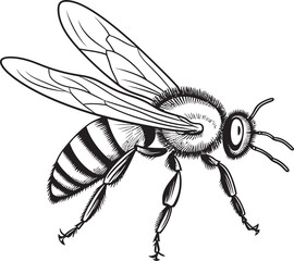 Detailed Black Bee Illustration with Graceful Vector Line Art Modern Bee Vector Logo Featuring Solid Black Graphic Lines