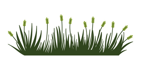Fragments of green grass. A set of isolated bundles of grass.