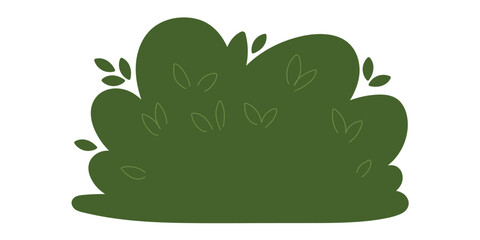 Decorative green plants in the form of garden shrubs, seasonal shrubs. To decorate a park, garden or green hedge.