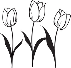 Tulip Bunch Logo Vector with Black Details Elegant Black Tulip Flower Bouquet Icon