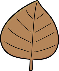 Illustration of leaf

