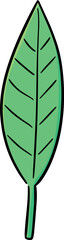 Illustration of leaf
