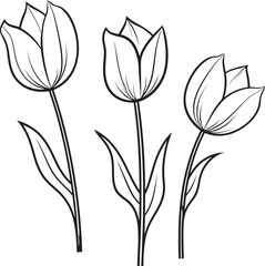 Tulip Bunch Logo Vector with Black Outlines Black Tulip Flower Bouquet Vector Icon