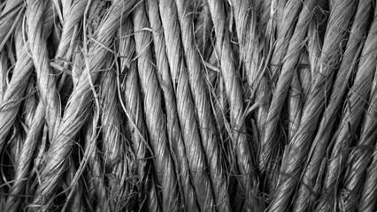 Close-up view of intertwined natural fibers showcasing texture and detail in monochrome