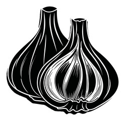 Hand-Drawn Engraving of Two Cloves of Garlic Illustrating Culinary Artistry