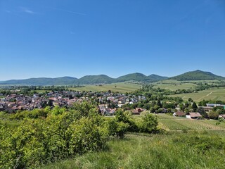 Blick auf Ilbesheim in den Weinbergen der S&uuml;dlichen Weinstra&szlig;e in Rheinland-Pfalz mit den Bergen des Pf&auml;lzer Walds im Hintergrund.