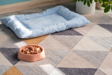 Slow feeding bowl filled with dry food i the room on the floor