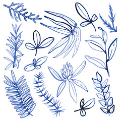 Watercolour hand drawn tropical leaves, brush line technique, blue leaves hand drawn.Ude as print, poster, element design, textile, fabric, sticker, tattoo, invitation, greeting card, package design.